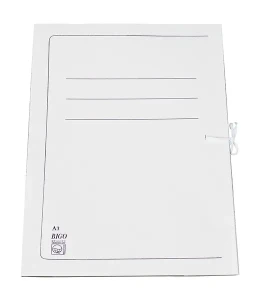 Teczka wiązana Bigo A3 op. 25 szt.