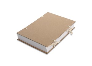 Fascykuła 700g A4 Bigo op. 25 szt.
